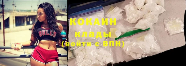 спайс Арсеньев