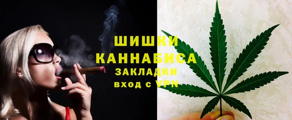 спайс Арсеньев