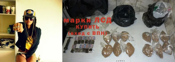 спайс Аркадак