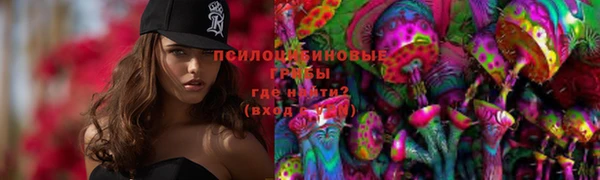 спайс Арсеньев