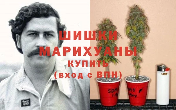 спайс Арсеньев