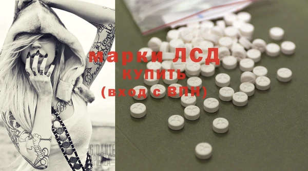 спайс Аркадак