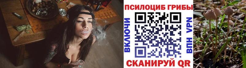 наркотики  Боготол  Галлюциногенные грибы прущие грибы 